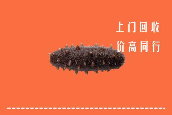 高价求购：双鸭山回收海参